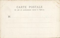 CPA Fantaisie Femme Lise Fleuron Chat