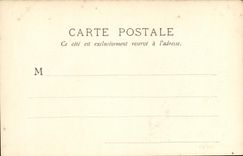 CPA Fantaisie Femme Lise Fleuron Chat