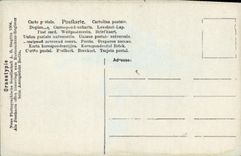 CPA Fantaisie Femme Enfant Nain lutin