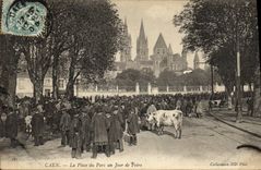 VINTAGE POSTCARD Caen the Place of Avoids one Day of Fair Cows Goes TOP