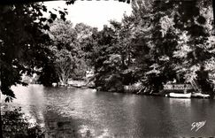 POSTAL MODERNA Caen que los bancos de L adornan