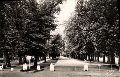 POSTAL MODERNA Caen camina en el gran curso