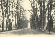 Curso de Caen de la POSTAL de la VENDIMIA gran