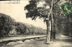 Curso de Caen Cafarelli de la POSTAL de la VENDIMIA