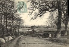 POSTAL Caen de la VENDIMIA los caballos de Hippisme del hipodromo del prado