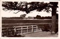 Caballos de Hippisme del hipodromo de Caen de la POSTAL de la VENDIMIA