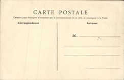 VINTAGE POSTCARD Fountain Henry Castle Southern part