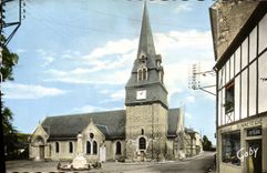 CPMA Fervaques L Church Drapery Hosiery