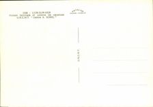 MODERN CARD Lion sur Mer Familiate House and Summer camp UNCMT Center Sorel