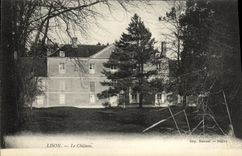 VINTAGE POSTCARD Lion the Castle