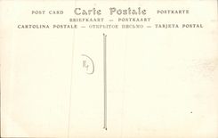 VINTAGE POSTCARD Lion the Castle