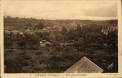 CPA Livarot Vue Panoramique