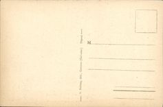 VINTAGE POSTCARD Abbey of Long Ruins of the Vault