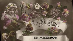 VINTAGE POSTCARD a Kiss of Mezidon