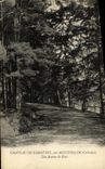 CPA Chateau de Garnetot par Montpincon Une Avenue du Parc