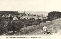 CPA Arromanches les Bains Vue Generale Fermier et vache