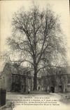 CPA Bayeux Arbre de la Liberte 