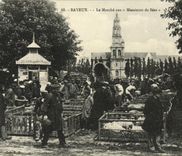 VINTAGE POSTCARD Bayeux Market with the Sirs de Sees Pigs Pigs TOP