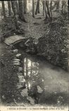 CPA Environs de Falaise La Fontaine bouillante au bois de la Tour