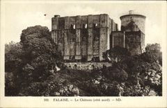 VINTAGE POSTCARD Falaise the Castle Dimensions northern