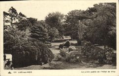 VINTAGE POSTCARD Luc on Sea the Public garden of L town hall