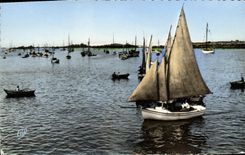 CPM Luc Sur Mer Petits Bateaux