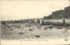 CPA Luc Sur Mer La Peche Aux Moules