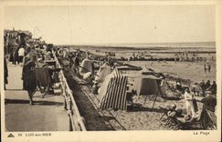 CPA Luc Sur Mer La Plage 