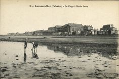 CPA Luc Sur Mer La Plage a Maree Basse