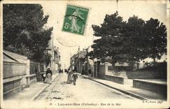 CPA Luc Sur Mer Rue de la Mer