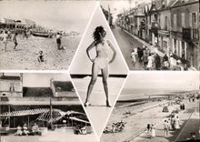 POSTAL MODERNA Lucas en el pino UpBaleine del mar