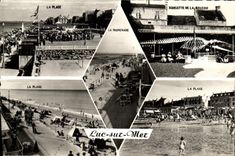CPM Luc Sur Mer Souvenir Baleine