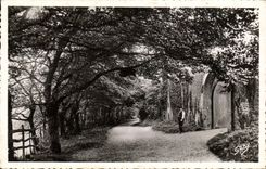 MODERN CARD Villers on Sea Way of the Manor D Auberville