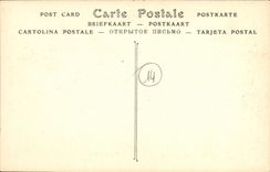 VINTAGE POSTCARD the Cliffs D Auberville