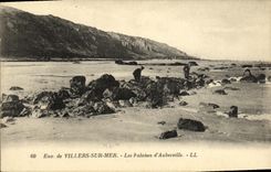 VINTAGE POSTCARD the Cliffs D Auberville Surroundings of Villers On Sea