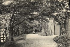 VINTAGE POSTCARD Villers de Mer Way of the manor D auberville