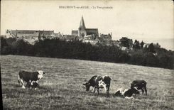 VINTAGE POSTCARD Beaumont out of Trough View Cows