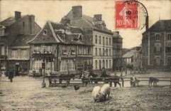 CPA Beaumont en Auge La Place du Marche Cochons chevaux 