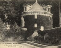 VINTAGE POSTCARD Castles of the Apple brandy Castle of Balleroy the Dovecote Doves