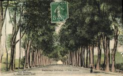 VINTAGE POSTCARD Balleroy an Avenue