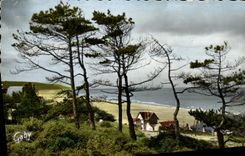 MODERN CARD Blonville on Sea the Dimension through the Fir trees