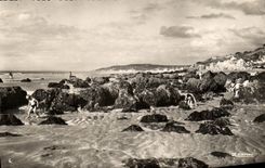 CPM Blonville sur Mer Les roches noires