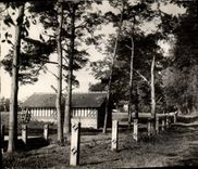 MODERN CARD Cesny Halbout Wood a pretty corner of the Park