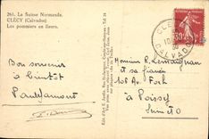 CPA Clecy Les pommiers en fleurs Moutons