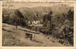 CPA La Suisse Normande Clecy Vue generale du Pain de Sucre et le Chalet de la Vallee de l Orne Tisci Hotel Vache 