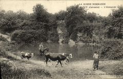 CPA La Suisse Normande Clecy L Abreuvoir Vaches