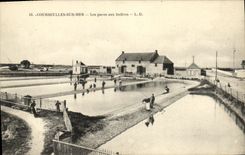 CPA Courseulles Parc aux huitres de la msion Heroult Jeune