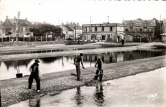 MODERN CARD Restoring Courseulles Parks with Oysters of the parks Adam Chedeville