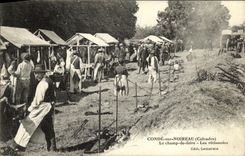 VINTAGE POSTCARD Cop On Noireau the Fairground grill rooms TOP