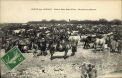 CPA Conde Sur Noireau Grande Foire Saint Gilles Marche aux chevaux TOP 